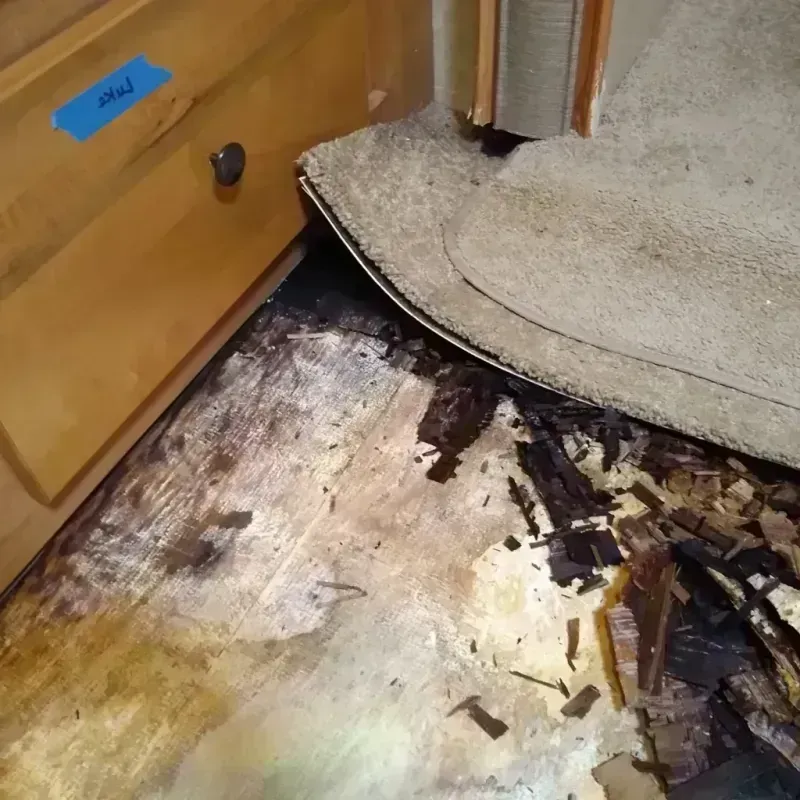 Best Wood Floor Water Damage Service in Holly Lake Ranch, TX